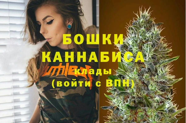 индика Бугульма